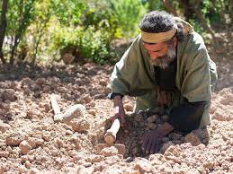 31/07 – O Reino dos céus é como um tesouro escondido no campo