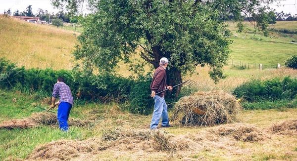 12/11 – Quem procura ganhar a sua vida vai perdê-la, e quem perde vai conservá-la.